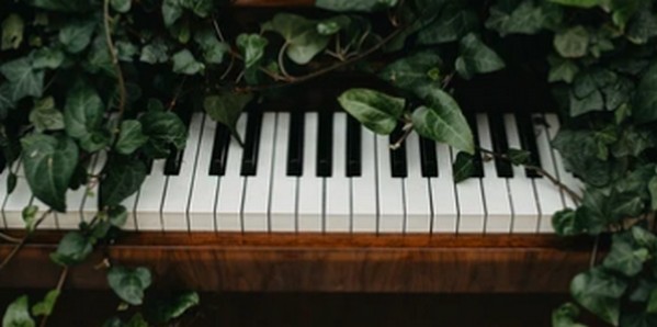 ショパン幻想即興曲解説と聞き比べ5選-憧れのピアノ曲の定番曲